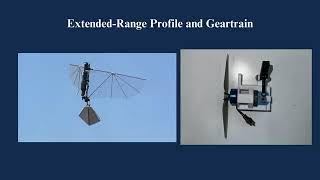 Flapping Wing Uav