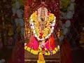 दुर्गा माता का सबसे प्रिय भजन || मैया बैठी है भवन में ओढ़े चुनरी #shorts