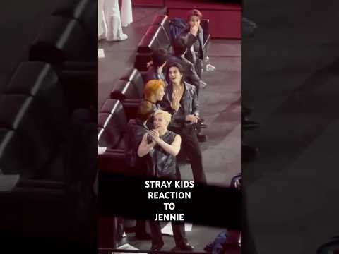 Stray Kids WILD Reaction To Jennie At Golden Disc Awards 2026 Jennie Straykids 