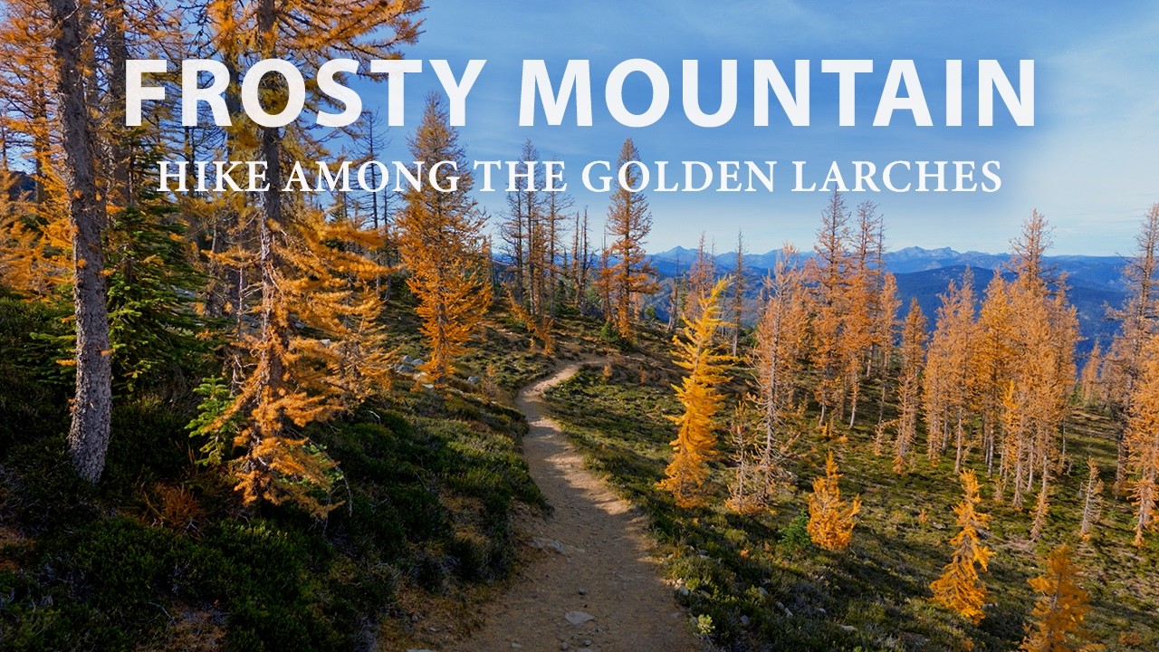 Finding Peace Among the Golden Larches 🍂 Relaxing Mountain Hike to Frosty Mountain, Manning Park BC