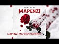 Pipi Jojo Mapenzi Official Audio Rylics
