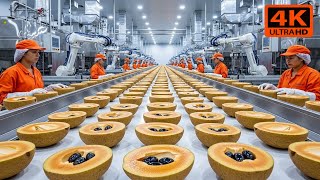 Inside A Modern Sapodilla To Sweet Desserts Factory Delicious Production Full Process