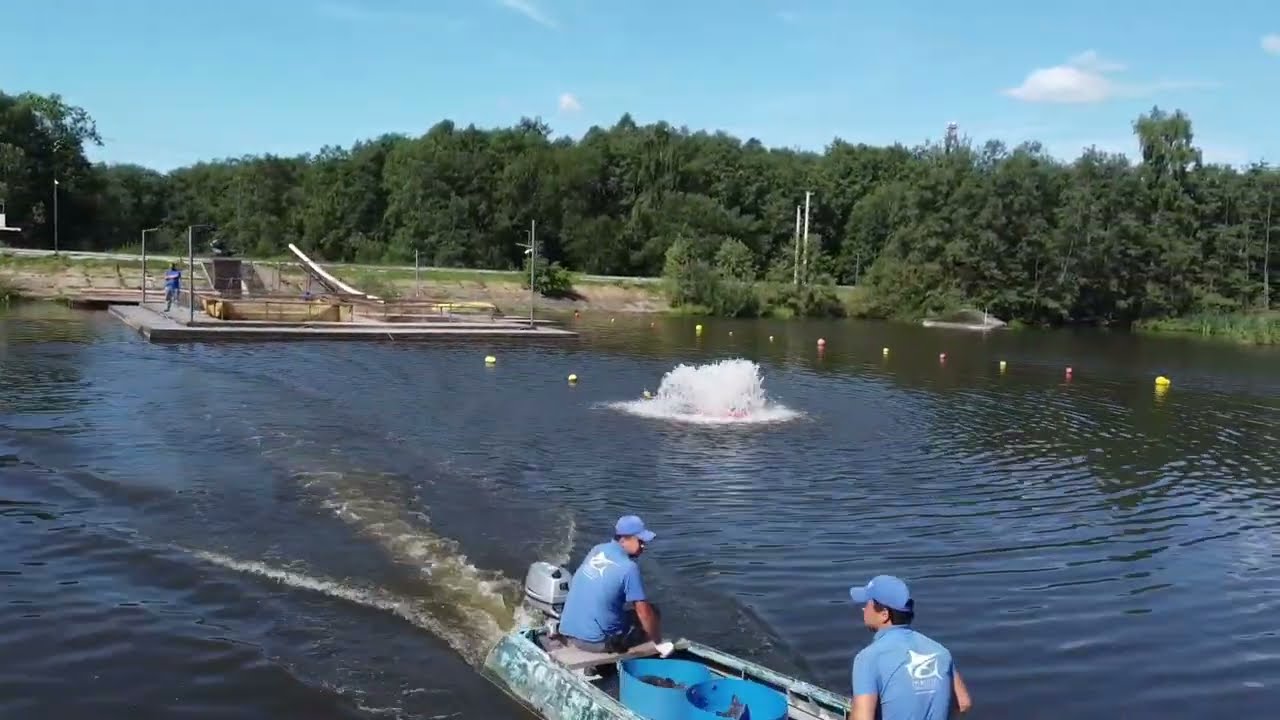 Запуск осетра