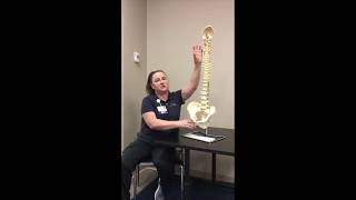 An Overview of Spinal Cord Injuries | San Joaquin Valley Rehabilitation Hospital