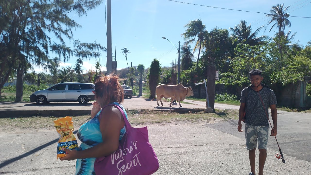 Siparia ,Santa Flora,Los Bajos,Palo Seco ,Rancho Quamado till Los Iros