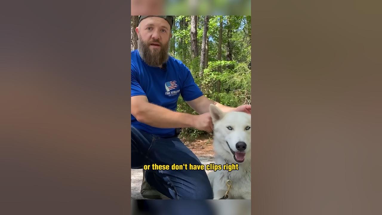 How to Size Your Dog for a Choke Chain Training Collar YouTube