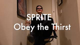 Fan Made Sprite Commercial #3 (College Project)
