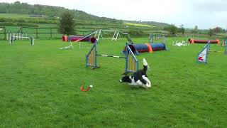Q-ME AGILITY THREADLES