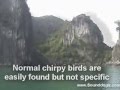 Recording Halong Bay Vietnam Sound Effects with Sounddogs com