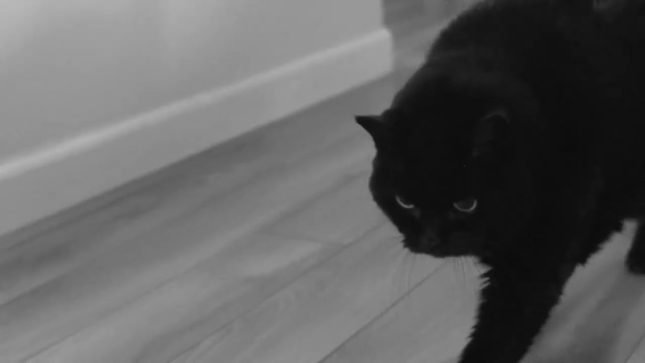 Union Square Advertising - Restaurant Marketing