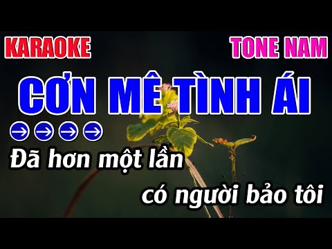 Cơn Mê Tình