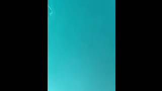 6Ft Shark On Nekid Ball Jigz