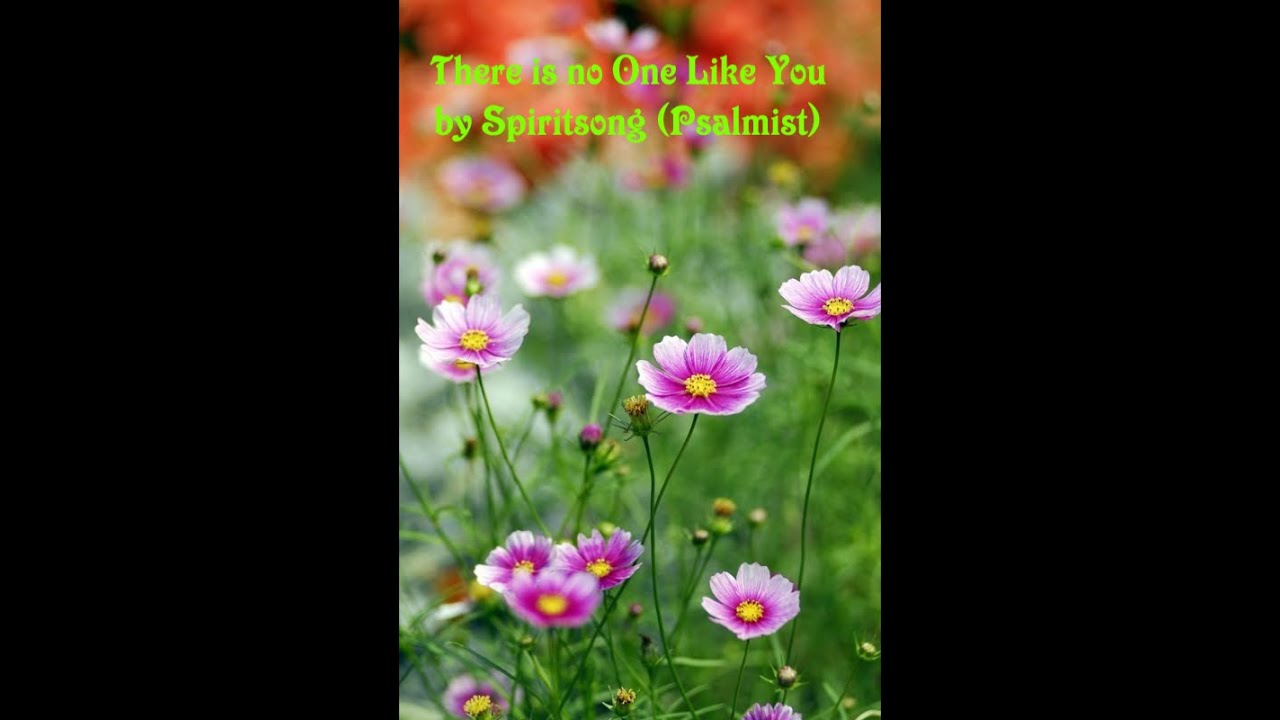  2 Min Clip There Is No One Like You By Spiritsong Psalmist The