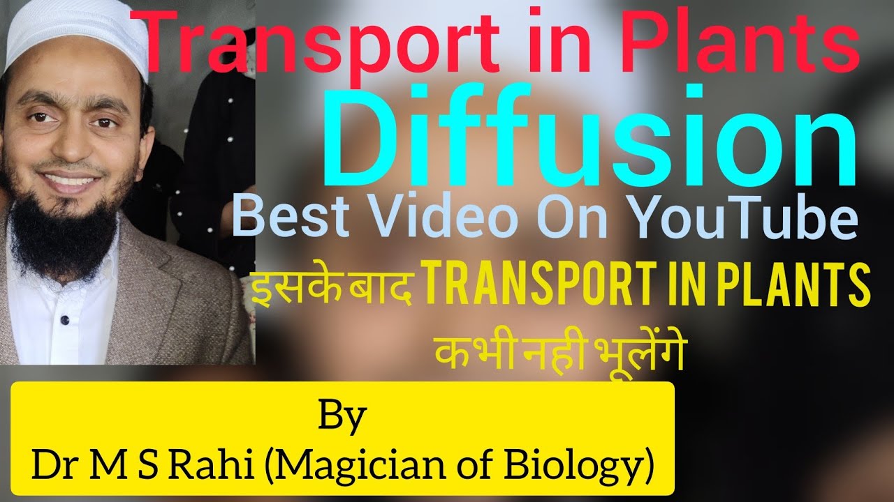 Diffusion - Transport in Plants - Lecture - 2 - YouTube