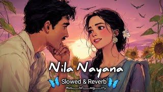 Nila Nayana ❤️ Slowed & Reverb | Odia Lofi Song | Feel the Love 🌸 | 4K