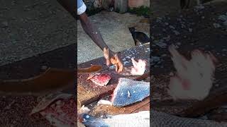 Amazing Fish Cutting Skill | #Short