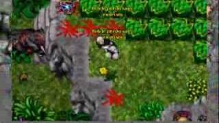 The Power Of An Elder Druid Tibia