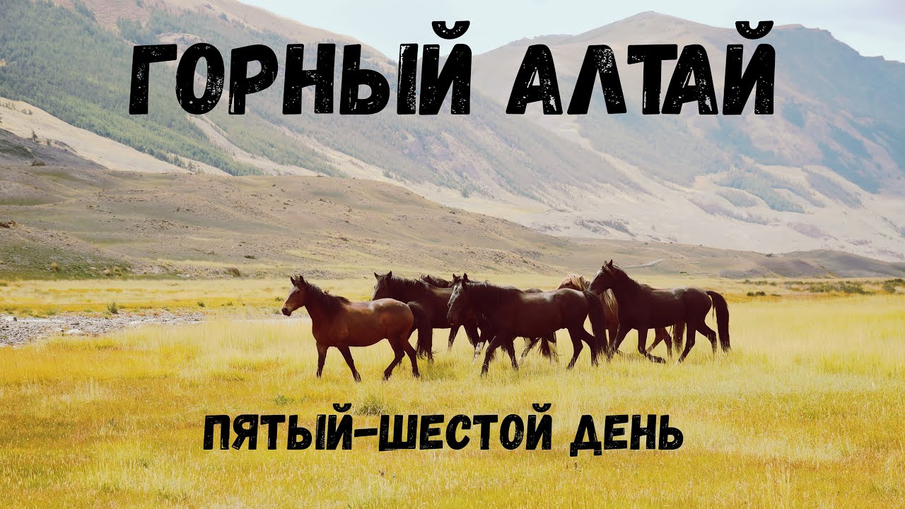 Белокуриха дикарями на машине