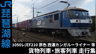 [4K] 2059レ/5050レ/1050レ 等 EF66/EF210 貨物列車・223系/225系 旅客列車 琵琶湖線 走行集
