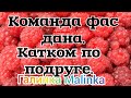 Деревенский дневник очень многодетной мамы /Команда фас дана/Катком по подруге Обзор Побирухи /