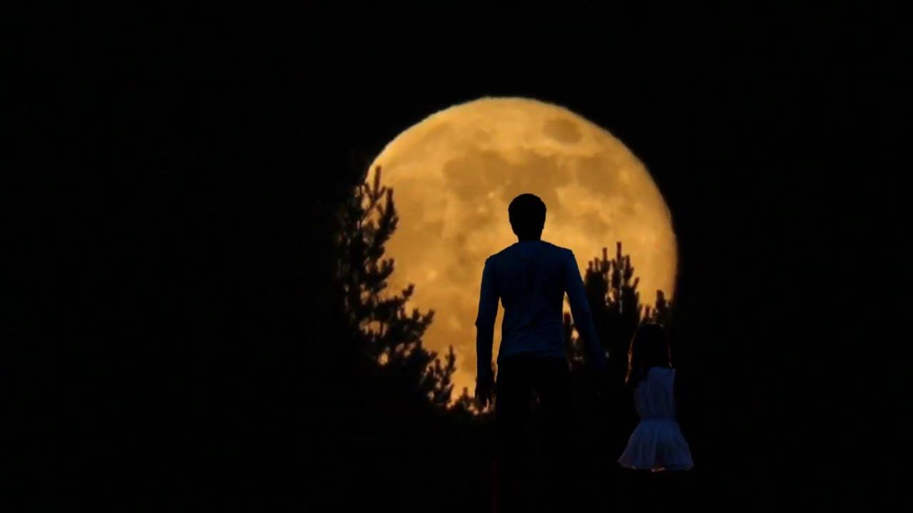 David Hasselhoff & Gwen Wir Zwei