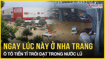 Cảnh tượng ngay lúc này ở Nha Trang: Ô tô tiền tỷ trôi dạt trong nước lũ đục ngầu | Báo VietNamNet