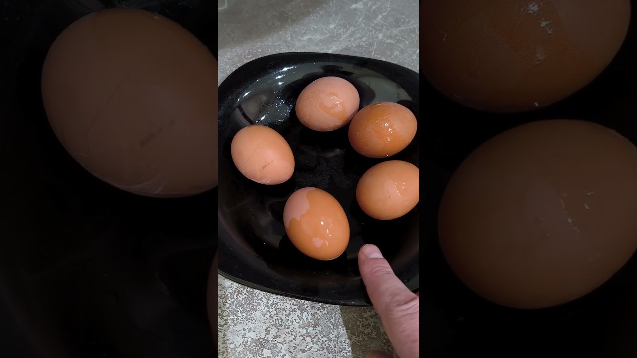 Я сделал то, что никто не проверял 😱