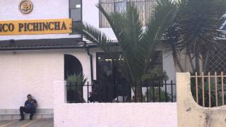 IMG 0728