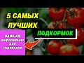 ТОП-5 супер подкормок для огорода и дачи. ЛУЧШИЕ ПОДКОРМКИ В ОДНОМ ВИДЕО! #diy #дача #огород