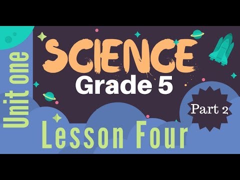 Grade 5 | Unit 1 - Lesson 4 - Part 2 - Magnetism and Electricity - YouTube