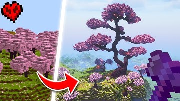 I Transformed EVERY FOREST in Minecraft Hardcore!