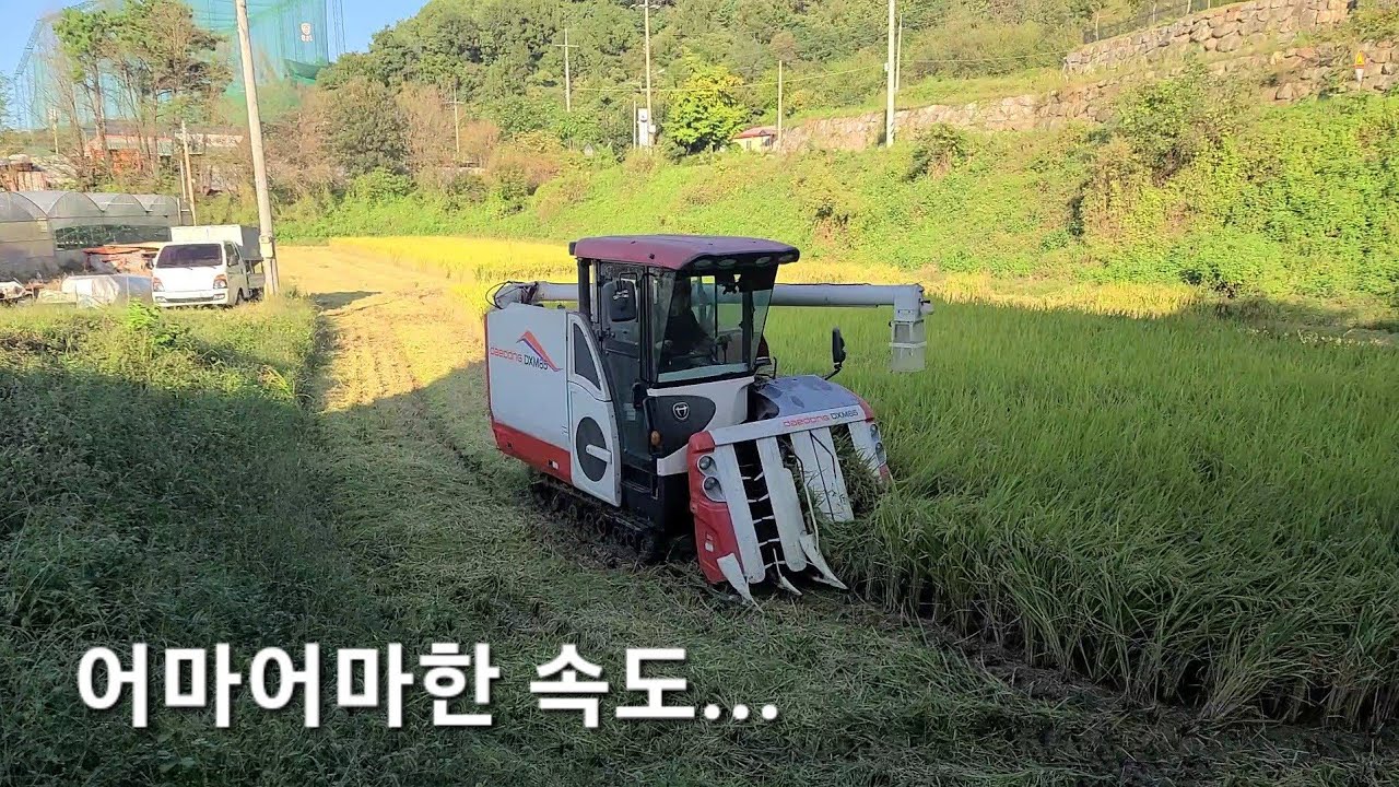 대동콤바인 2024년 첫 벼베기..중고 수리후 첫 작업...일년에 딱한번뿐인 수확