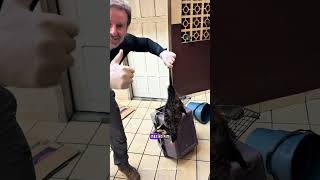 DANADINHO!!!!! 😂😂😂😂