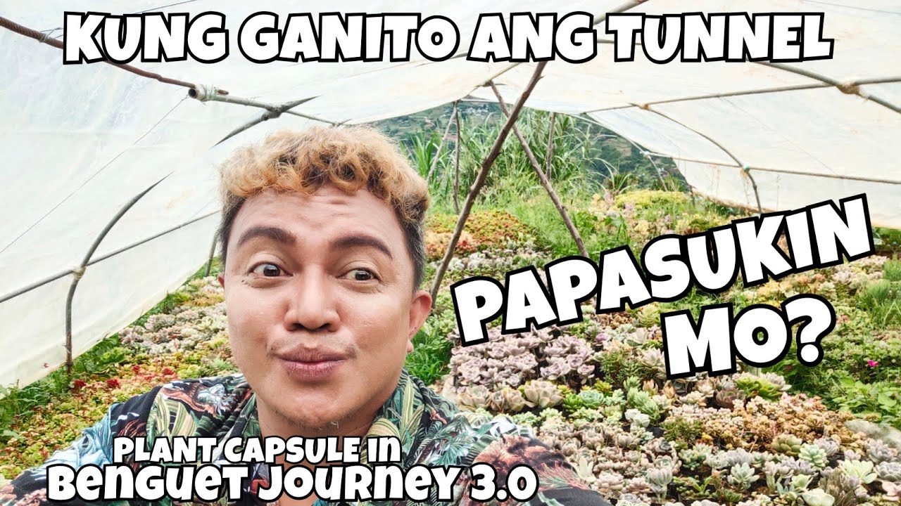 VISITING PLANT TUNNELS | AMAZING SUCCULENTS IN BENGUET JOURNEY 3.0