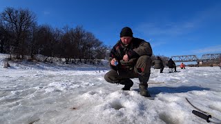 Ловля плотвы в марте На безмотылку отличный клев!