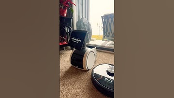 Amazon Astro Won This Round 🐾