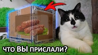 Посылки И Рисунки От Подписчиков **Они Просто Крутые**