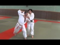 Jujitsu 20 techniques  b4