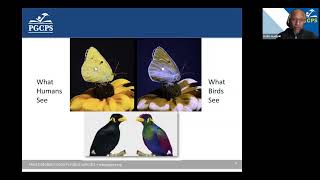 Learning Disabilities from a School Psychologist Perspective - Fall Mini-Conference Session 1