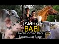 Asal mula babi berperan penting dalam adat batak