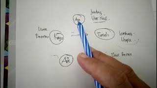 Download Lagu Gambaran 5 Unsur pada Nyeri Lambung, Mellynda Fibiani MP3