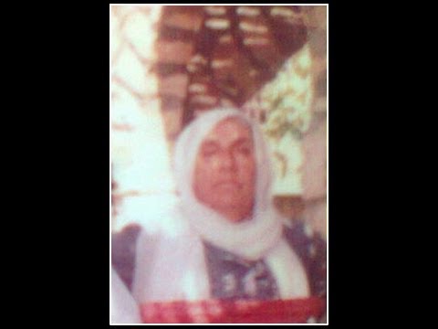 قصة جبينه طيرة حيفا    