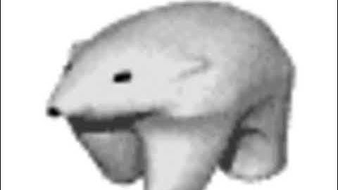 Polar Bear GIF to 10 Hour MP4 Linux Bash Shell Script FFmpeg