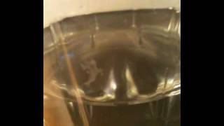 Video Thumbnail for Logitech Z-2300 Bass Test + Cool Water Effect