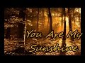 You Are My Sunshine Lyrics