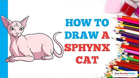 Watch the video about How to Draw a Sphynx Cat