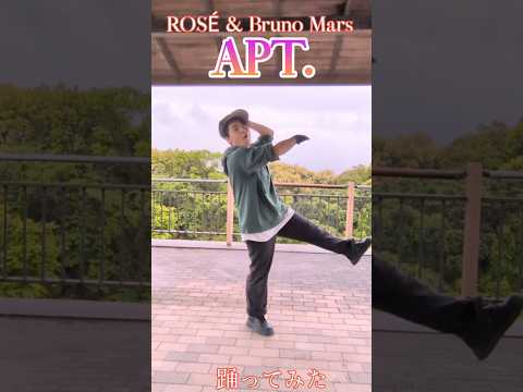 踊るのめっちゃ楽しかったぁ！リクエストありがとうございます！APT. 踊ってみた #APT. #踊ってみた
