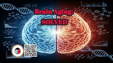 How Scientists are Unlocking the Secrets of Brain Aging