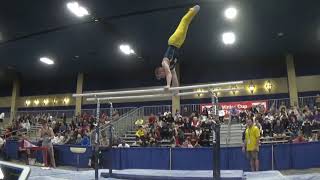 Cameron Bock - Parallel Bars - 2020 Winter Cup Senior Prelims