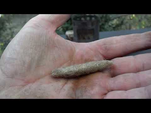 Rust In Jute